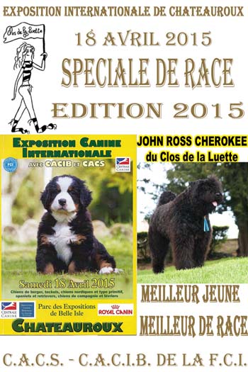 JOHN ROSS © Elevage bouvier des flandre du Clos de la Luette © Clos de la Luette Kennel